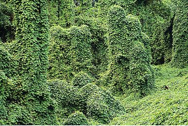 中式恐怖游戏《凶寓》Steam页面上线 支持中文